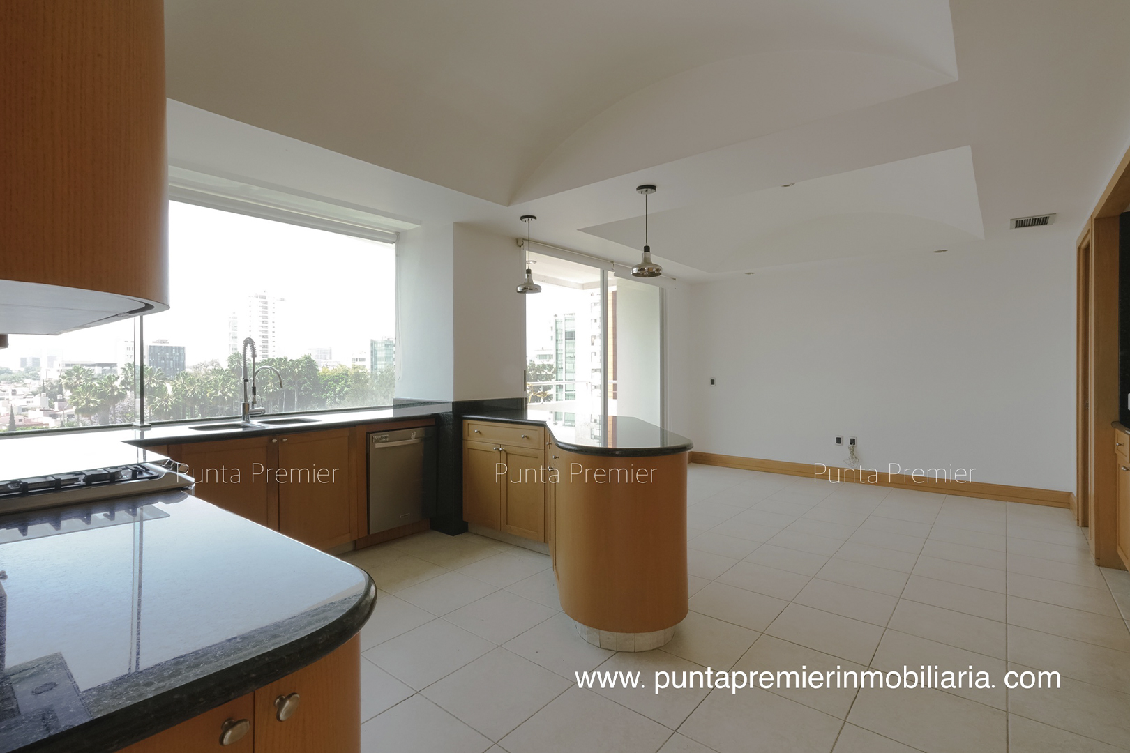 Departamento Penthouse de lujo en Venta en Providencia